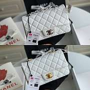 Chanel Classic Flap Bag 20 Caviar White In Silver/Gold Hardware - 1
