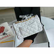 Chanel Classic Flap Bag 20 Caviar White In Silver/Gold Hardware - 6