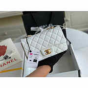 Chanel Classic Flap Bag 20 Caviar White In Silver/Gold Hardware - 3