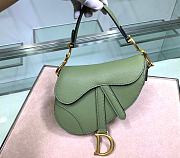 Dior Saddle 19.5 Grain Leather Green 6816 - 1