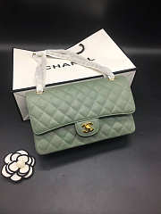 Chanel Flap Bag Green Caviar 25 Gold/Silver Hardware   - 5