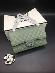 Chanel Flap Bag Green Caviar 25 Gold/Silver Hardware   - 3