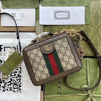 Gucci Case 18.5 Ophidia Leather 8695