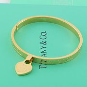 Tiffany & Co bracelet 8856 - 6
