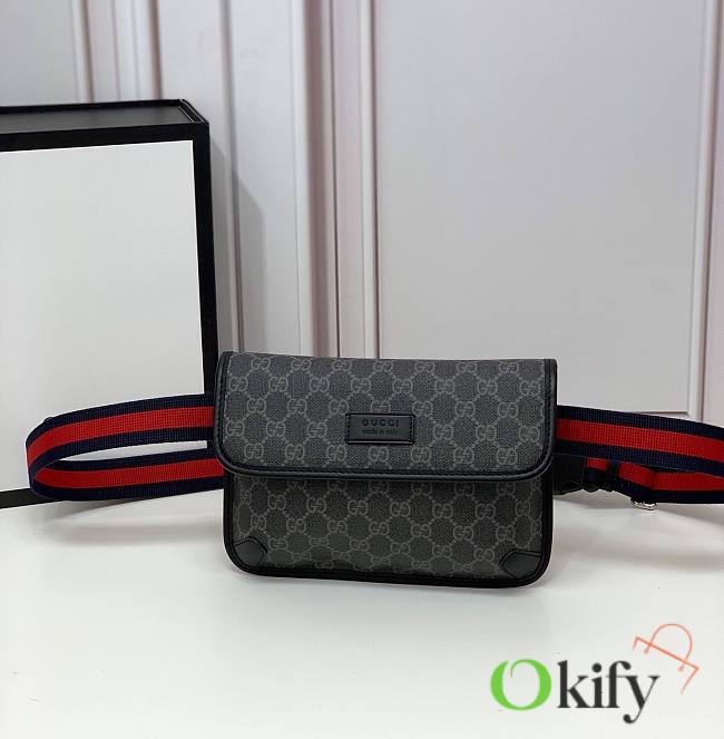 Gucci Belt Bag 24 Gray Ophidia 8991 - 1
