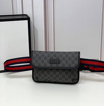 Gucci Belt Bag 24 Gray Ophidia 8991
