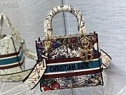 Lady Dior D-Lite Medium 24 Multicolor Flower Embroidery M0565 - 2