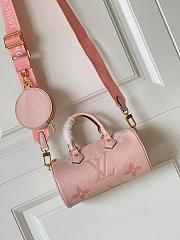 Louis Vuitton Papillon BB 20 Carryall Pink Bag  - 5