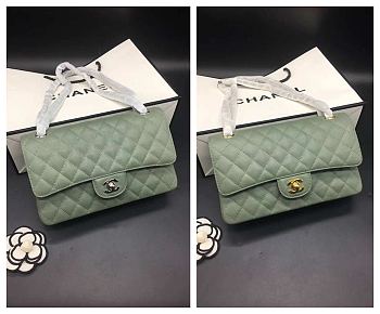 Chanel Flap Bag Green Caviar 25 Gold/Silver Hardware  