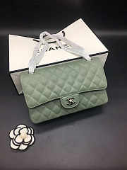 Chanel Flap Bag Green Caviar 25 Gold/Silver Hardware   - 2