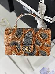 Chanel Mini Handle 20 Python Leather 5304 - 1