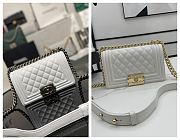 Chanel Small Leboy Classic White Carvia Silver/Gold Hardware 67086 - 1