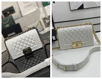 Chanel Small Leboy Classic White Carvia Silver/Gold Hardware 67086
