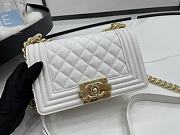 Chanel Small Leboy Classic White Carvia Silver/Gold Hardware 67086 - 6