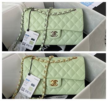 Chanel Flapbag Medium Light Green Lambskin Silver/Gold Hardware
