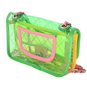 Chanel Transparent Classic Green PVC Bag - 2