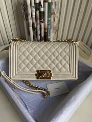 CC Leboy Medium 25 Quilted White Caviar Glass Gold Hardware - 1