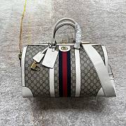Gucci Travel Bag 44 Ophidia 2512 - 1