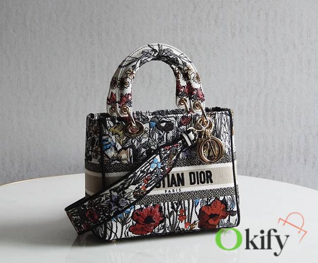 Lady Dior D-Lite Medium 24 Multicolor 10325 - 1