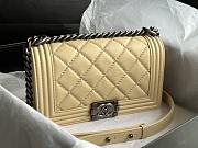Chanel Quilted Calfskin Le Boy 25.5 Beige/ Silver 1903 - 6