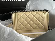 Chanel Quilted Calfskin Le Boy 25.5 Beige/ Silver 1903 - 3
