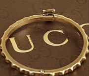 Gucci Bracelet 10917 - 6