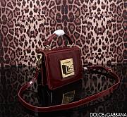 D&G Foiled 18.5 Top-handle Wine Red Leather 1894 - 2