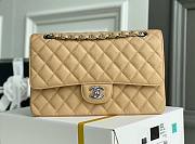 CC Medium Flapbag 25.5 Beige Caviar Silver Hardware 11321 - 1