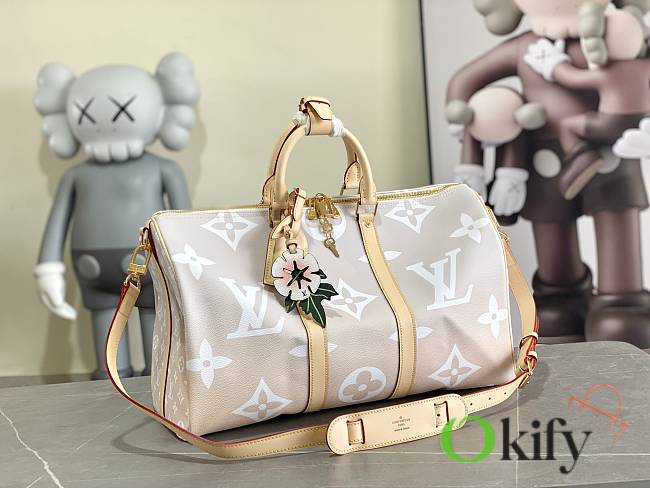 LV Keepall 45 Autres Toiles Monogram in Mist - 1