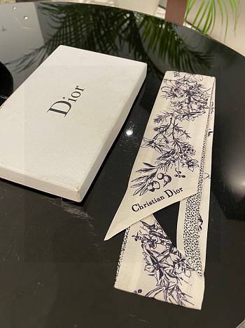 Dior Hand Scarf 11498