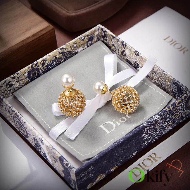 Dior Earrings 11725 - 1
