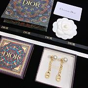 Dior Earrings 11728 - 5