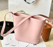 CELINE AA Pink Bag - 6