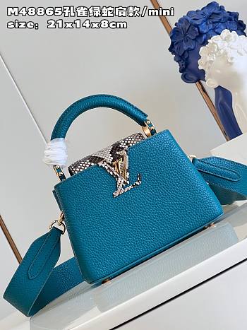 Louis Vuitton Capucines Mini Python Handle Blue