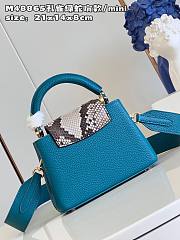 Louis Vuitton Capucines Mini Python Handle Blue - 5