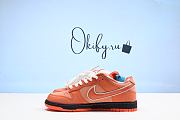 Nike SB x Concepts Dunk Low Orange Lobster - 4