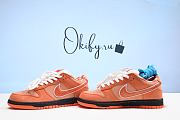 Nike SB x Concepts Dunk Low Orange Lobster - 3