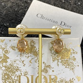 Okify Dior Earrings 14111