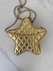 Okify CC Star Handbags Shimmering Lambskin And Gold-Tone Metal Metallic Gold - 3