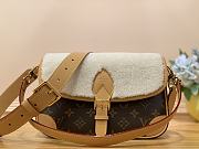 Okify LV Diane Bag Monogram Coated Canvas And Shearling M46317 - 6