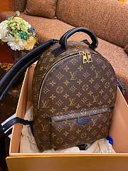 Okify LV Palm Springs MM Backpack M44874 - 1