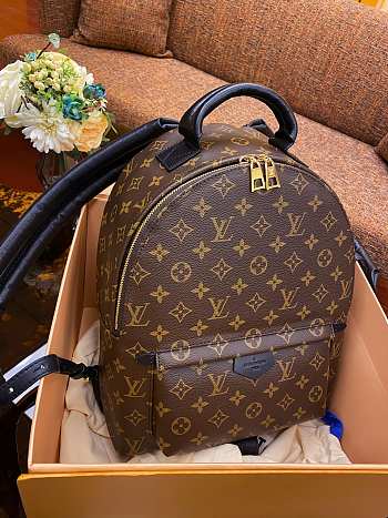Okify LV Palm Springs MM Backpack M44874