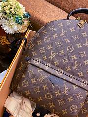 Okify LV Palm Springs MM Backpack M44874 - 5