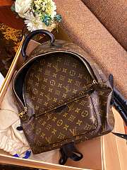 Okify LV Palm Springs MM Backpack M44874 - 2