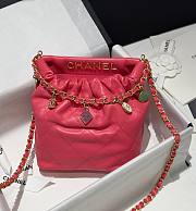 Okify Chanel Resin Charms Chain Bucket Bag Quilted Lambskin Small Pink - 1