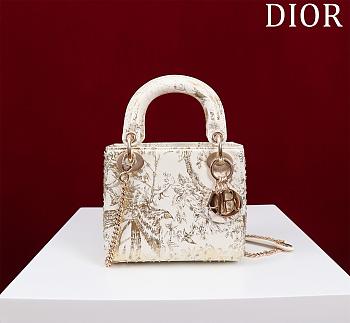 Okify Dior Lady Dior Platinum Metallic Cannage Lambskin with Beaded Embroidery