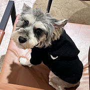 	 Okify Celine Clothes For Pet Black and Grey - 3