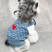 	 Okify Gucci Clothes For Pet  - 1