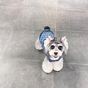 	 Okify Gucci Clothes For Pet  - 2