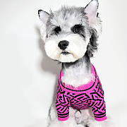 	 Okify Versace Clothes For Pet - 3